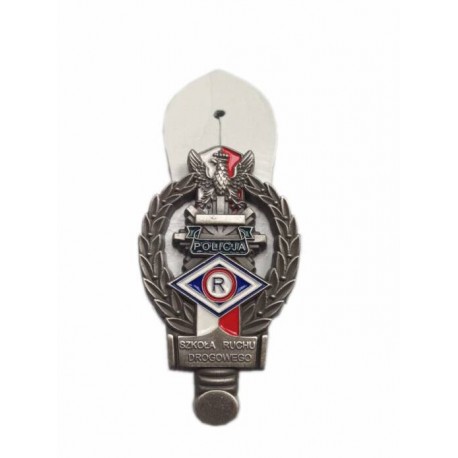 RUCH DROGOWY ABSOLWENTKA